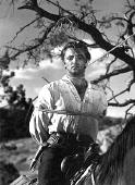"Pursued", "La vallée de la peur", par Raoul Walsh,western,base de donnees,films,cinéma,genre,robert mitchum